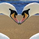 Demystifying Sugar Daddy Sites: Busting Common Myths