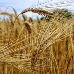 Navigating Breakups in Sugar Relationships