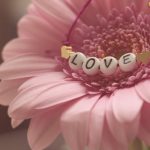 My Journey as a Sugar Daddy: Lessons Learned