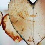 Navigating the Emotional Landscape of Sugar Daddy Websites