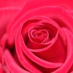 Myths and Misconceptions About Sugar Daddies Debunked