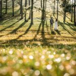 Navigating the World of Sugar Daddy Websites: Tips for Success