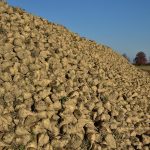 From Financial Support to Emotional Bonds: The Multifaceted Nature of Sugar Relationships