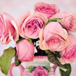 Sugar Daddy Websites: A New Way to Find Financial Stability and Companionship
