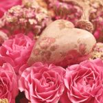 The Sugar Daddy Lifestyle: What You Need to Know Before Engaging