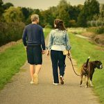 Tips for Finding the Perfect Sugar Daddy
