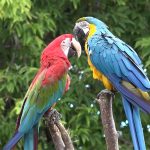 Financial Freedom or Emotional Bondage? The Truth About Sugar Relationships