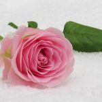 Debunking Myths About Sugar Daddy Websites: Facts vs Fiction