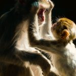 The Evolution of Sugar Daddy Relationships in Modern Dating