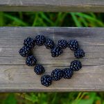 The Long-Term Consequences of Sugar Daddy Arrangements