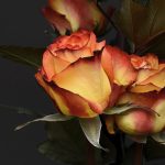 My Journey with a Sugar Daddy: What I Learned