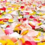 Empowerment or Dependency? The Dual Nature of Sugar Daddy Arrangements