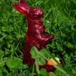 A Beginner's Journey into Sugar Daddy Websites: What to Expect