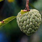 Understanding the Expectations: What Sugar Daddies Truly Seek