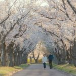 The Sugar Daddy Lifestyle: Balancing Romance and Financial Support