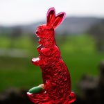 Navigating Expectations: Communicating with Your Sugar Daddy.