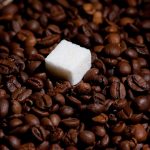 Misconceptions About Sugar Daddies: What You Need to Know