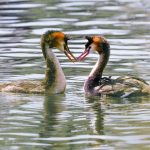 Balancing Power: The Dynamics of a Sugar Daddy Relationship