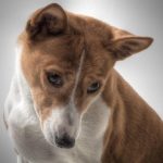 Building Bridges: The Social and Economic Impacts of Sugar Daddy Arrangements