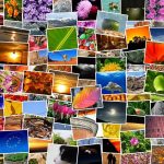 A Guide to Safely Navigating Sugar Daddy Sites