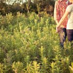 Beyond Transactions: The Emotional Bonds in Sugar Daddy Relationships