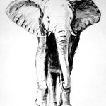 Sugar Daddy Myths Debunked: What is Reality?