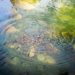 The Psychology Behind the Sugar Daddy Relationship.