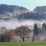 The Rise of Sugar Daddy Websites: A Cultural Shift in Relationships