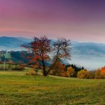 How to Navigate Sugar Daddy Sites Safely and Responsibly