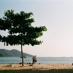 Navigating Financial Expectations on Sugar Daddy Websites