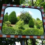 Myths vs. Reality: Understanding Sugar Daddy Sites