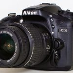 The Intersection of Love and Money: What Makes a Successful Sugar Daddy Arrangement