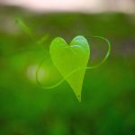 How to Create an Effective Profile on Sugar Daddy Sites.