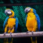 The Evolution of Sugar Daddy Sites: What Has Changed?