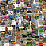 Sweet Deals: The Psychology Behind Sugar Daddy Arrangements