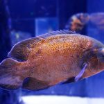 Building a Connection: First Dates with Your Sugar Daddy