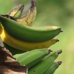 Tales of Unexpected Encounters with a Sugar Daddy