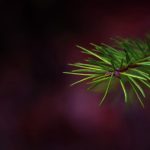 The Rise of Sugar Daddy Websites and Their Influence on Society