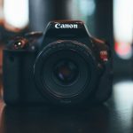 The Truth Behind Sugar Daddy Sites: Are They Worth It?