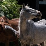 How Sugar Daddy Sites Are Reshaping Dating Norms