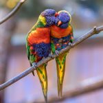 Empowerment or Exploitation? Navigating Sugar Daddy Relationships