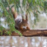 Embracing Empowerment: The Female Perspective on Sugar Daddy Websites