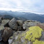 Enhancing Your Profile on Sugar Daddy Websites: Tips for Success