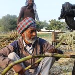 Exploring the Motivations Behind Seeking a Sugar Daddy