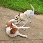 How to Identify Healthy Versus Toxic Dynamics in Sugar Daddy Arrangements