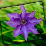 The Evolution of Sugar Daddy Partnerships in the Digital Age