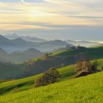 Understanding Boundaries: The Essential Guide for Sugar Babies and Daddies.