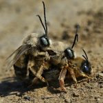 What It Means to Be a Modern Sugar Daddy